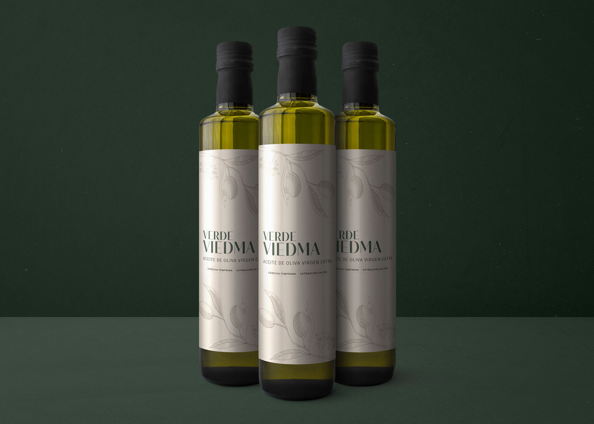 santatipo-porfolio-branding-identidad-corporativa-marketing-direccion-de-arte-diseño-grafico-verde-viedma